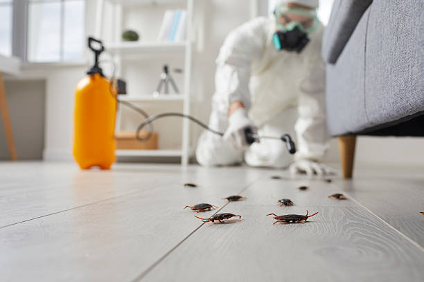 Commercial Kitchen Cockroach Control in Fort Clark Springs